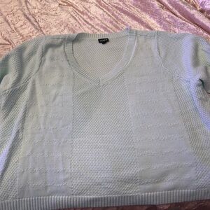 Torrid Light Mint Green V-Neck Sweater